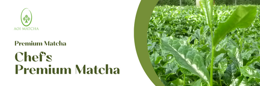 Premium Grade Chef's Premium Matcha