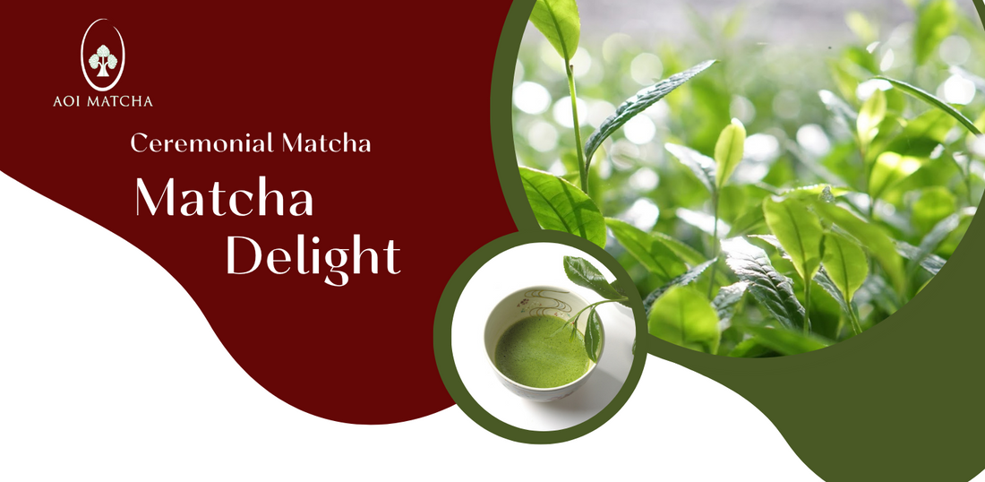 Ceremonial Grade Matcha Delight