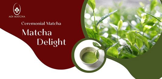 Ceremonial Grade Matcha Delight