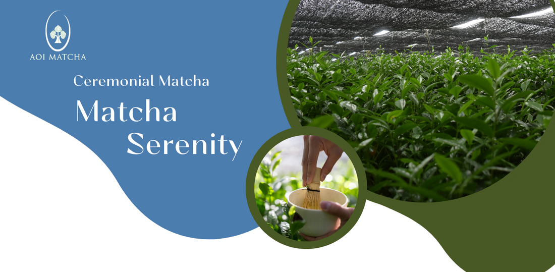 Ceremonial Grade Matcha Serenity