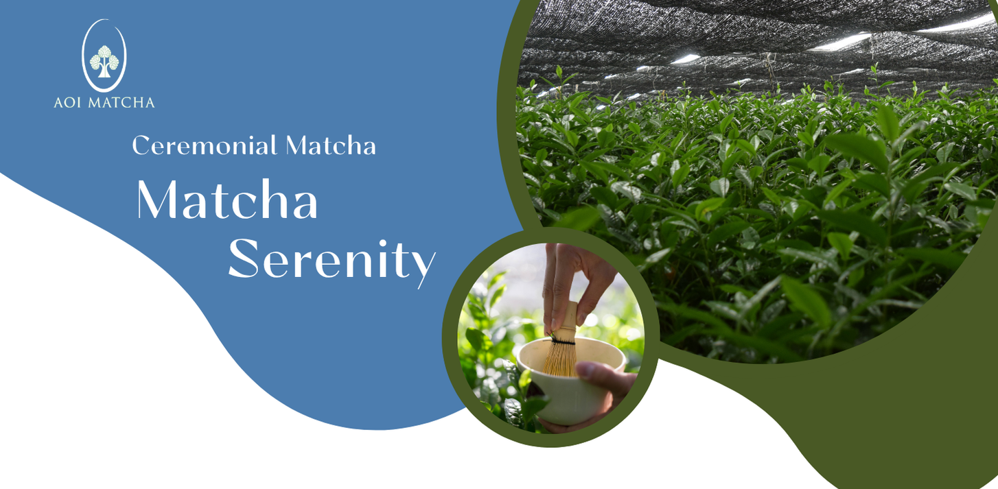 Ceremonial Grade Matcha Serenity